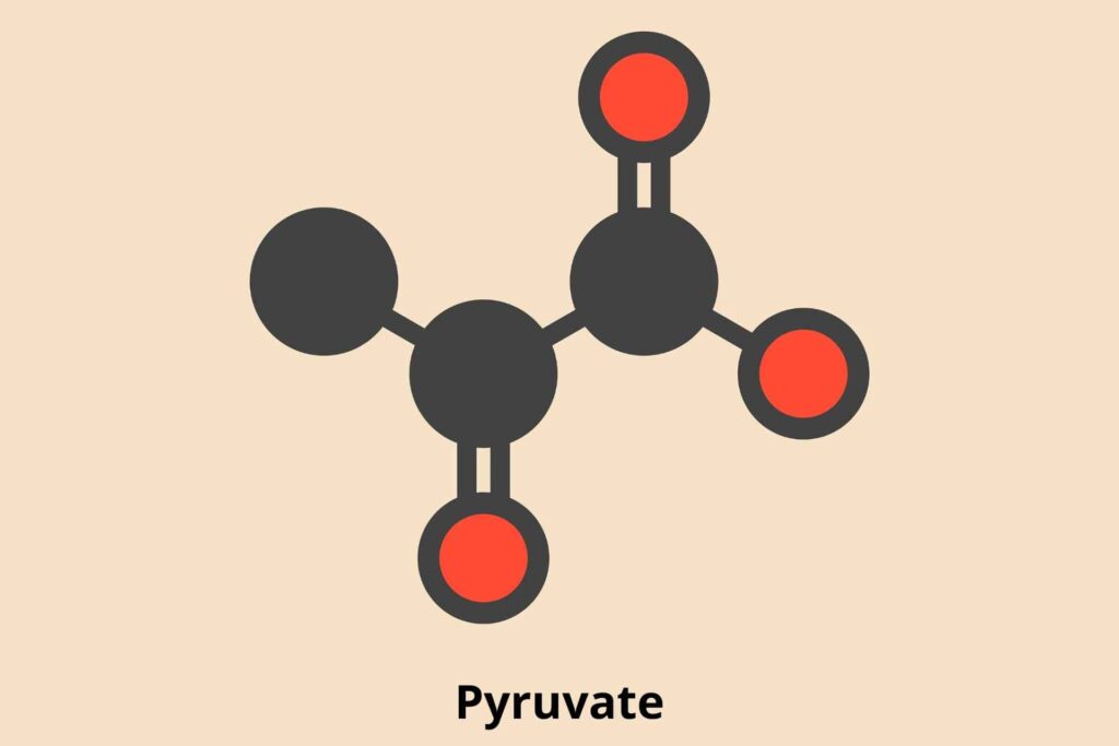 Pyruvate