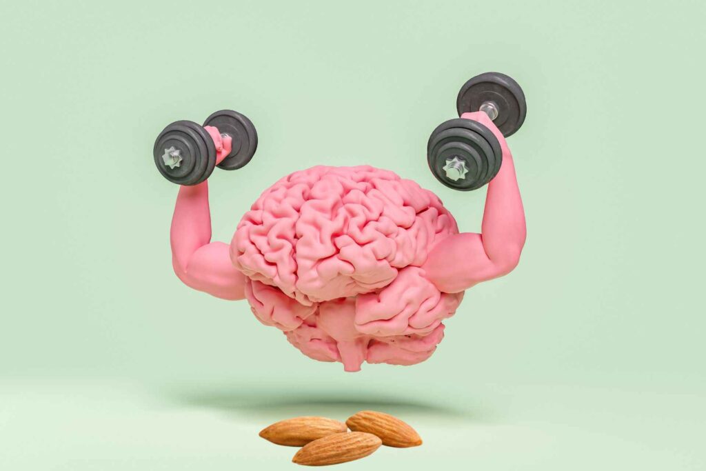 Brain with dumbbell and almonds beneath, computer art