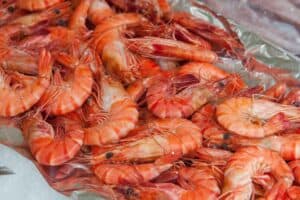 Is shrimp good for diabetics?
