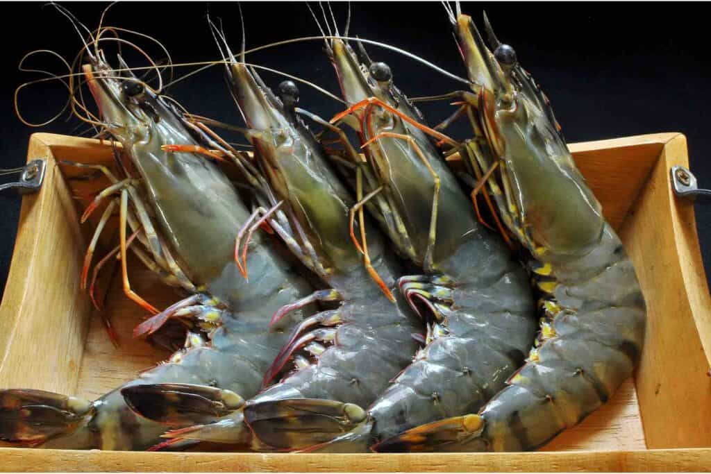 4 Prawns in a box