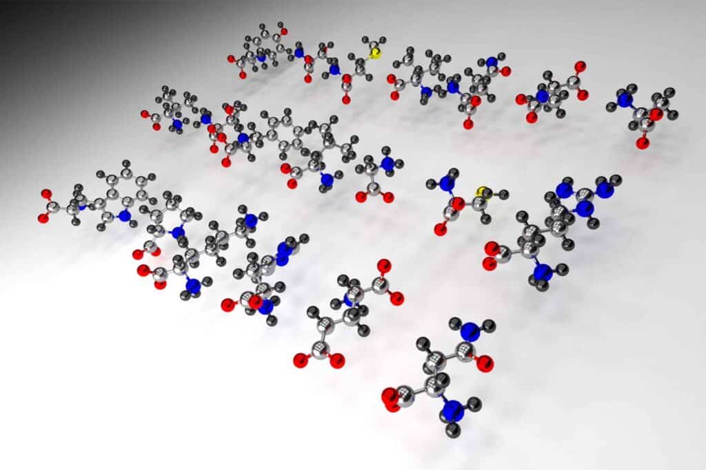 Essential amino acids structure, art work