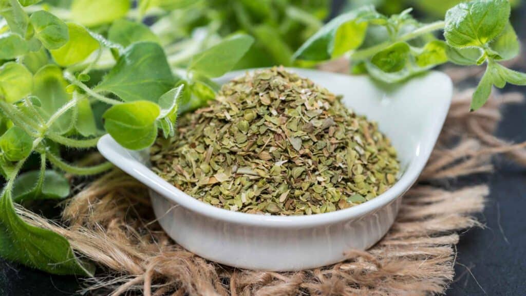 dried oregano in a bowl with green leaves of oregano