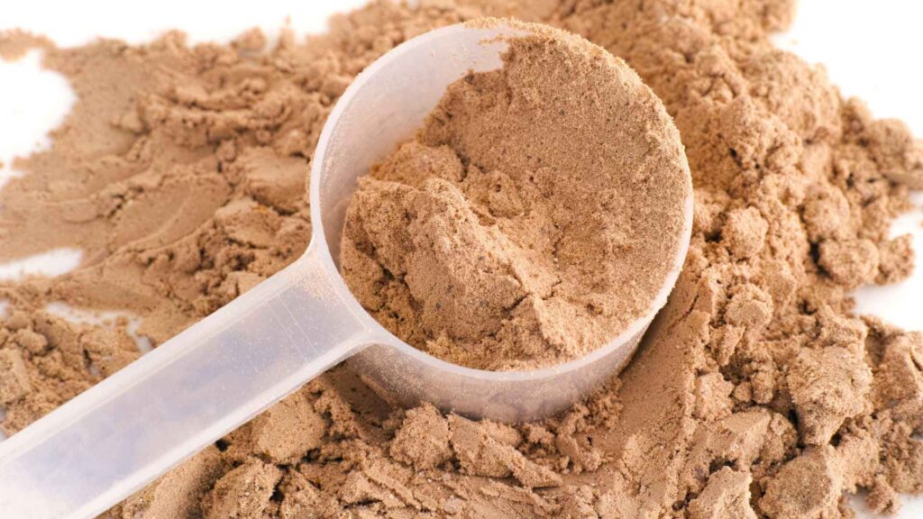 powder filled Spoon in soy protein powder
