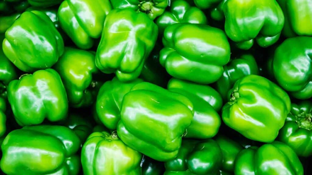 green bell pepper