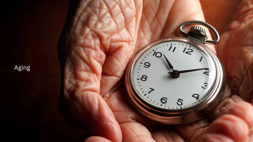 A clock in the hands of an old person, aging concept