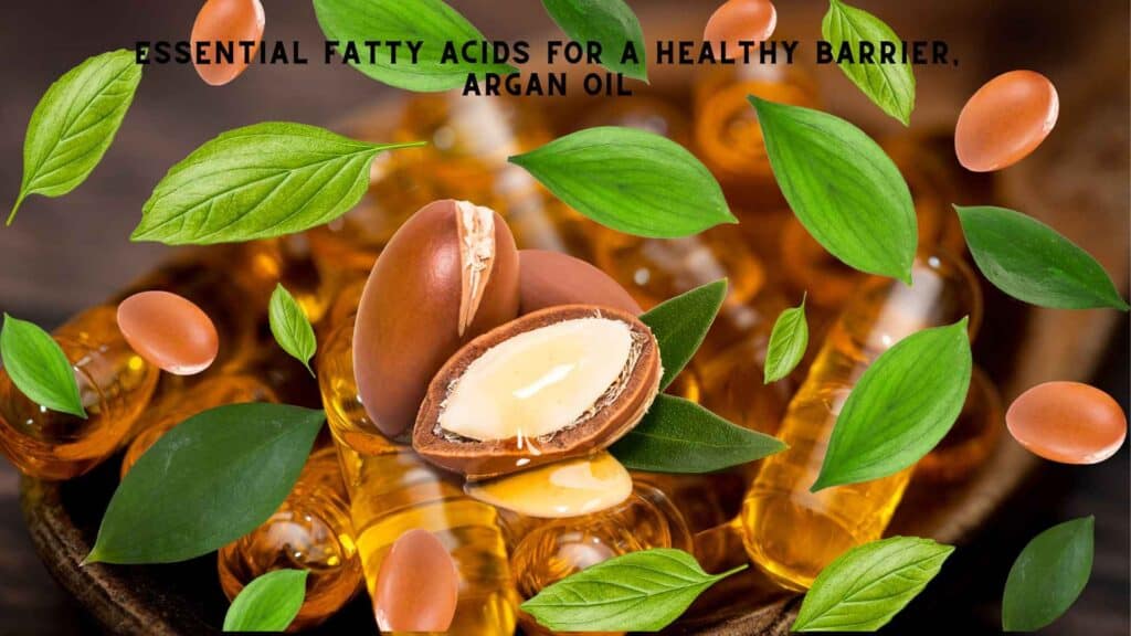 Argan seed and leaves on tablets, fatty acid concept